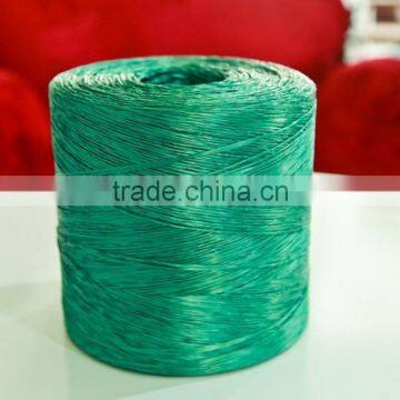 PP Twine / Baler Twine photo-6