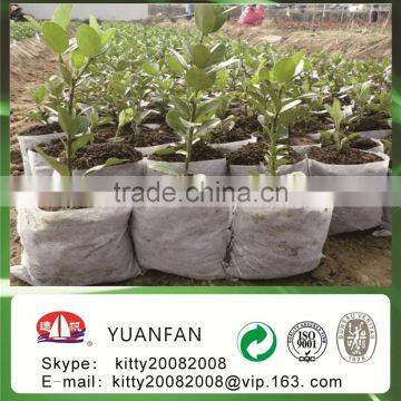 Eco-friendly 100%pp Spunbond Nonwoven Fabric for Agriculturel / Garden photo-5
