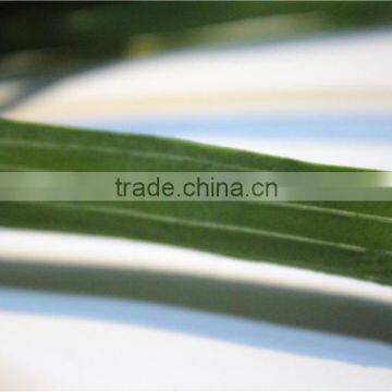 Home and Outdoor Garden Table Wedding Gate Decoration 60cm or 24inches H Artificial Fake Hands Yellow Onion Flowers E04 0607 photo-5