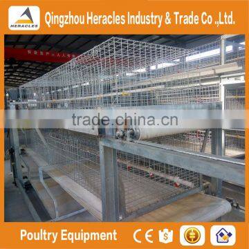 Trade Assurance Factory Price H Type Chicken Layer Cage for Broiler photo-3