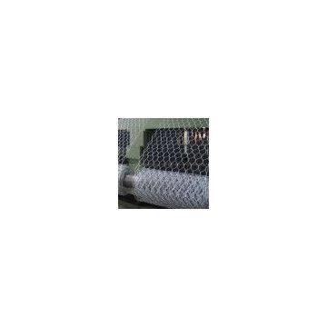 hot galvanized hexagonal wire netting