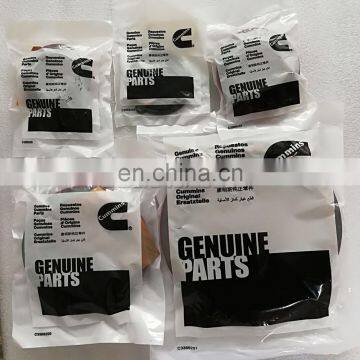 Cummins N14 Overhaul Lower Engine Gasket Set 4025069 3803613 3803376 photo-5