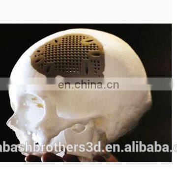 High Accuracy Color 3D Printing Durometer Flexible Stretchable Medical 3D Digital Organ Model photo-5