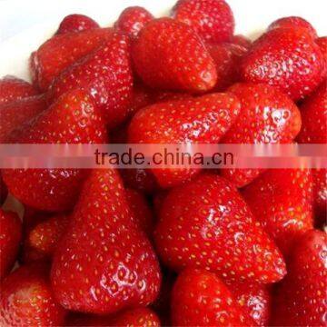 Bulk Frozen Strawberry in Package Size photo-2