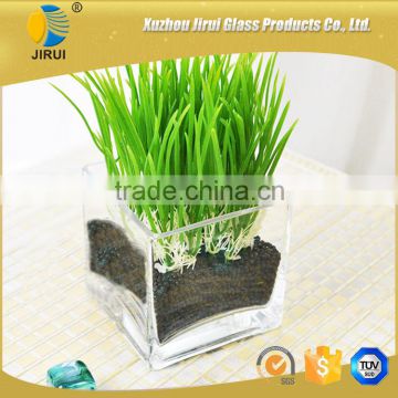 Transparent glass flower pot & glass plant pot