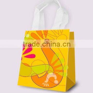 Cloth Handle Gift Bag, Promotion Shopping Bag, Paper Bag