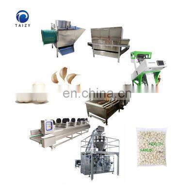 Professional garlic cleaning machine commercial making peeled garlic peeling machine