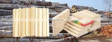 Ice Cream Sticks Making Equipment photo-4