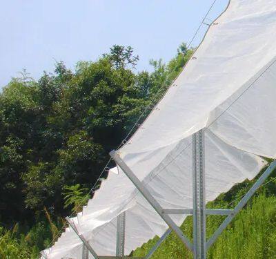 Transparent Poly Coated Tarpaulin Sheet for Agriculture and Cherry Tree Cover photo-5