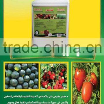 Tuta Absoluta photo-2