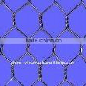 China factory supply Chicken Wire Mesh