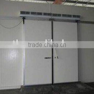 PU Panel Cold Room With Hinged Door/fruits Cold Storage