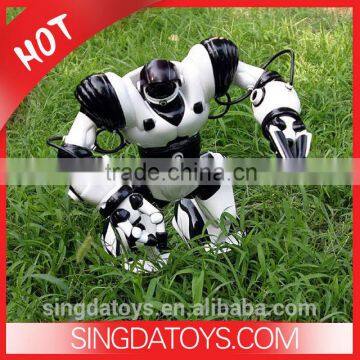 TT313 Remote Control Robot Boy Toys