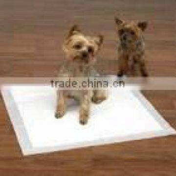 Absorbent Cat Mat