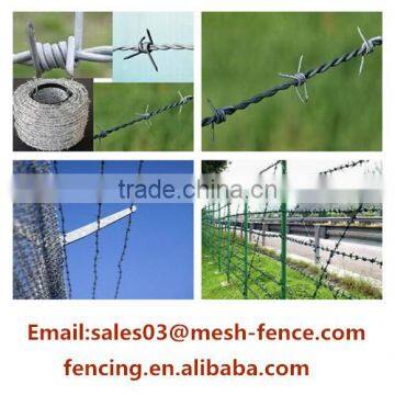 ALIBABA SUPPLY Good Quality 16#*16# Barbed Wire for Lawn