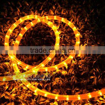 Special Decoration Amer 12V LED Rope Light