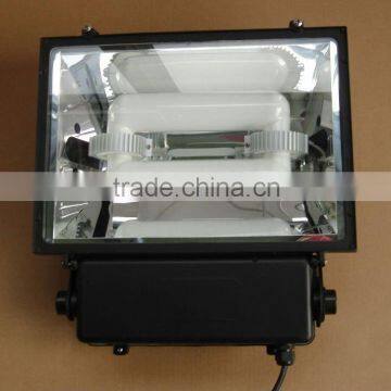 Panda electrodeless induction lamp for floodlight