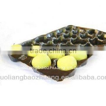 PP Hollow Fruit Insert Salver