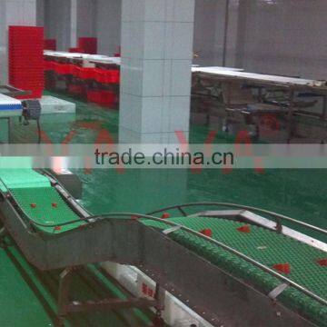 Food Conveyor for Slaughtering Industry/modular Belt Conveyor Line photo-5