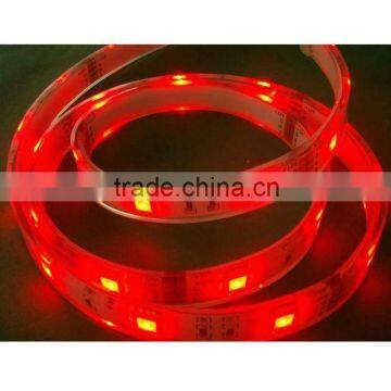 50/50 Waterproof LED strip light 24V