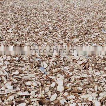 Tapioca chips/Cassava