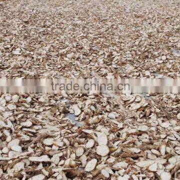 Tapioca Chips/Cassava