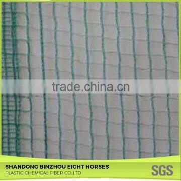 China Market Green Olive Harvest Nets for Sale