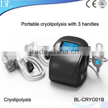 New Arrival Cryolipolysis / Cryolipolysis Flabby Skin Slim Machine Cryolipolysis For Salon Use Skin Tightening