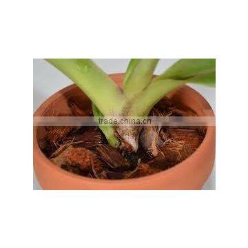 Coco Peat/pith Products photo-6