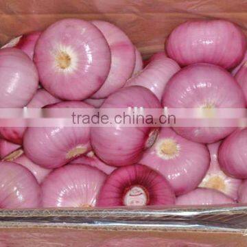 2015 Crop Lowest Price Fresh Red Onion photo-4