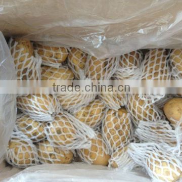 Fresh Potato Chip are Hot Selling From Shandong Factory