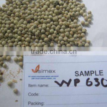 VIETNAM WHITE PEPPER HIGH QUALITY 630G/L ( skype & yahoo: visimex08)