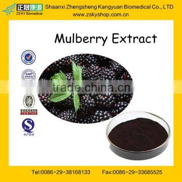 GMP Certified Manufacturer Supply Mulberry Extract