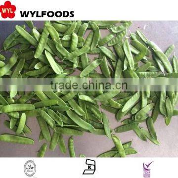 IQF China Wholesales Price for Frozen Pea Pods photo-4