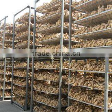 2016 Crop Air Dried Ginger at Good Price photo-4