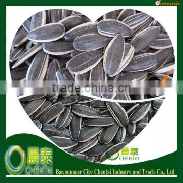 Supply Round Shape Hulled Sunflower Seeds909