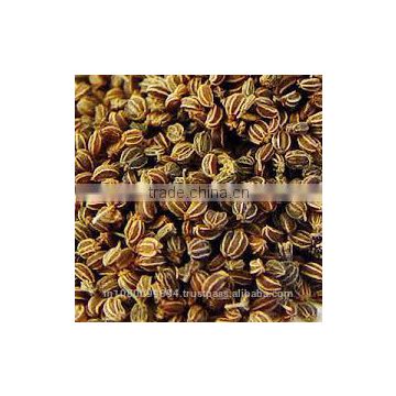 Celery Seed Oil