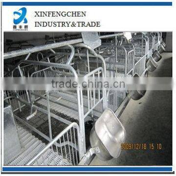 pig farming equipment--gestation stall