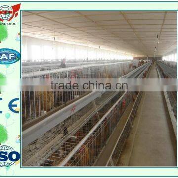 automatic chicken cage/breeding equipment