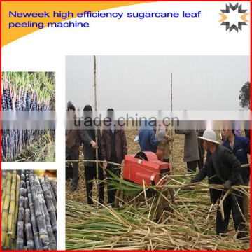 Neweek high efficiency sugarcane leaf peeling machine