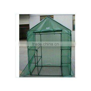 big strong green house