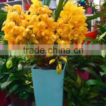 Indoor Square Planter Flower Pots,decoration Vase ,garden Gnome Flower Pots photo-2