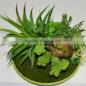 SJ3001011 Indoor Mini Bonsai Cactus Plant Artificial photo-6