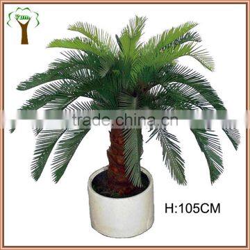 potted artificial mini sago cycas tree