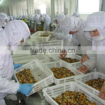 IQF Blue Mussel Meat photo-5