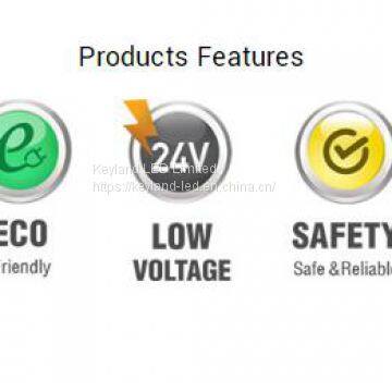 Dot-Free LED Flexible Neon Anti-UV LED Neon Light photo-2