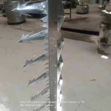 Galvanized Razor Spike for Security Wall Fence photo-3