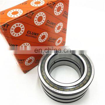 Full Complement Cylindrical Roller Bearing SL04 5028-PP Motor bearing SL04 5032