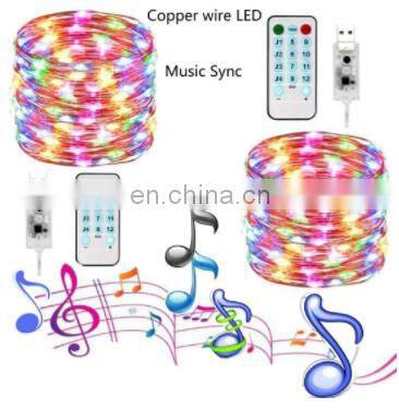 Ball String Light Holiday Decoration Wedding Party Fairy LED  Christmas Light mobile phone control