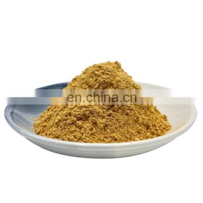 Organic High-Quality Cordyceps Militaris Extract Cordyceps Militaris Powder